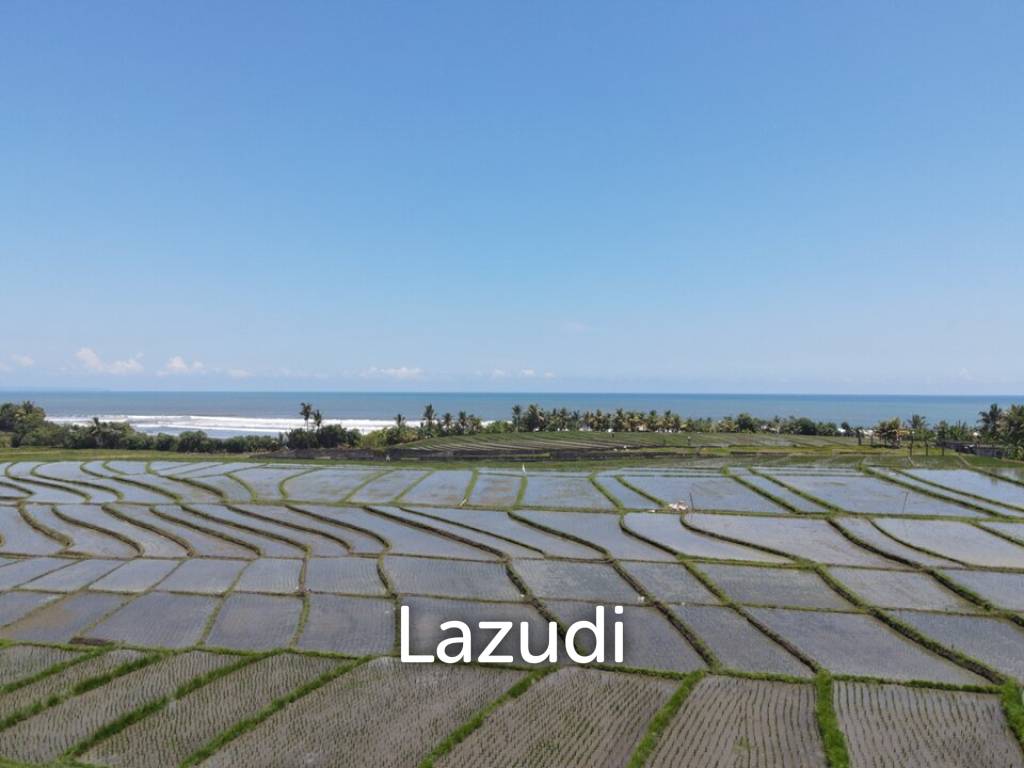 FREEHOLD LAND OFFERING STUNNING OCEAN AND SUNSET VIEWS IN TABANAN