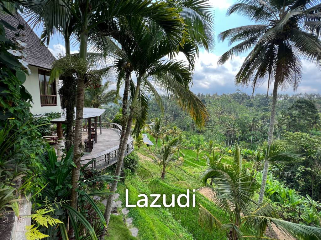 URGENT SALE!! BREATHTAKING UBUD RETREAT OVERLOOKING LUSH RICE PADDIES