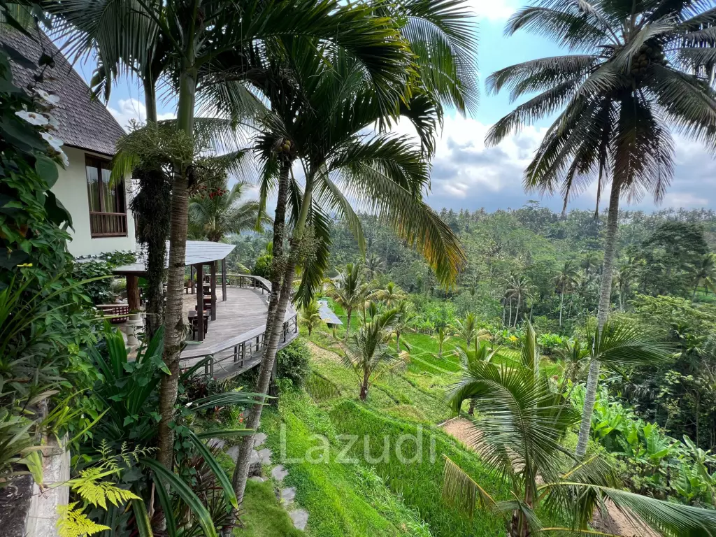 URGENT SALE!! BREATHTAKING UBUD RETREAT OVERLOOKING LUSH RICE PADDIES