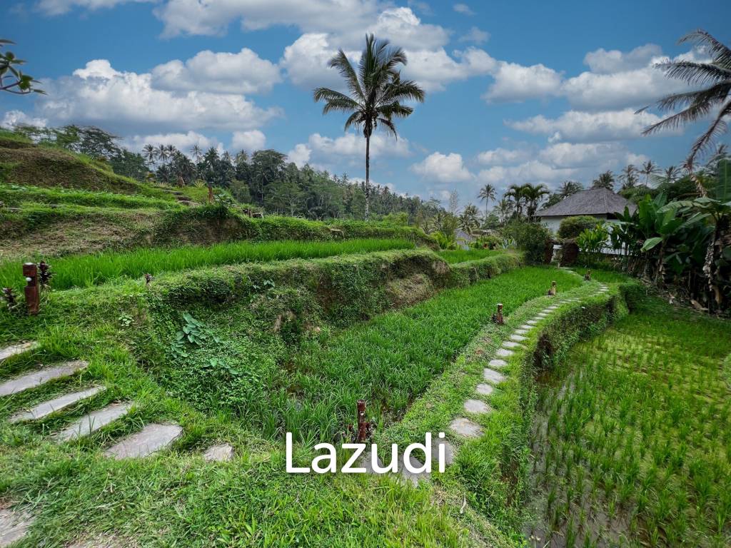 URGENT SALE!! BREATHTAKING UBUD RETREAT OVERLOOKING LUSH RICE PADDIES