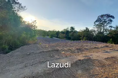4 Rai 134 SQ.W. ( 6,944 SQ.M.) Land in Na Jomtien