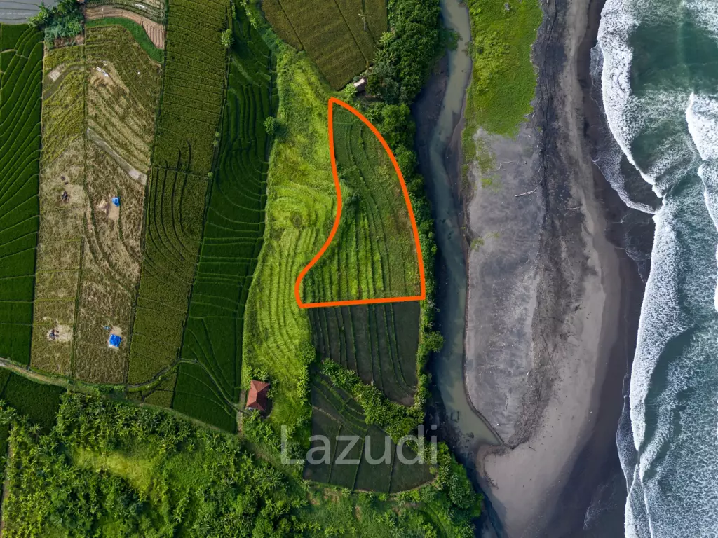Beachfront Land in Gangga Tabanan