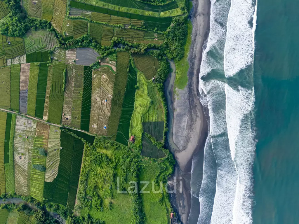 Beachfront Land in Gangga Tabanan