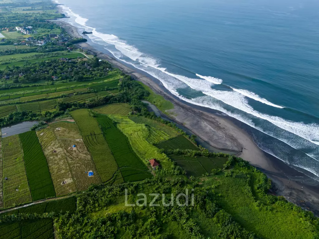 Beachfront Land in Gangga Tabanan