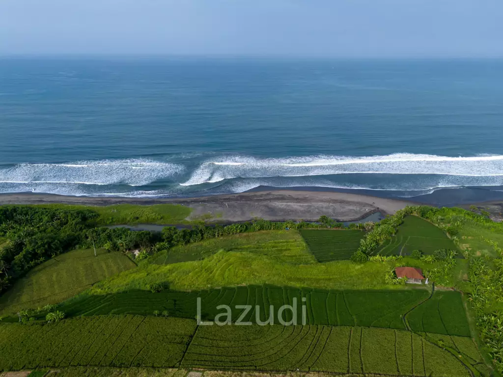 Beachfront Land in Gangga Tabanan