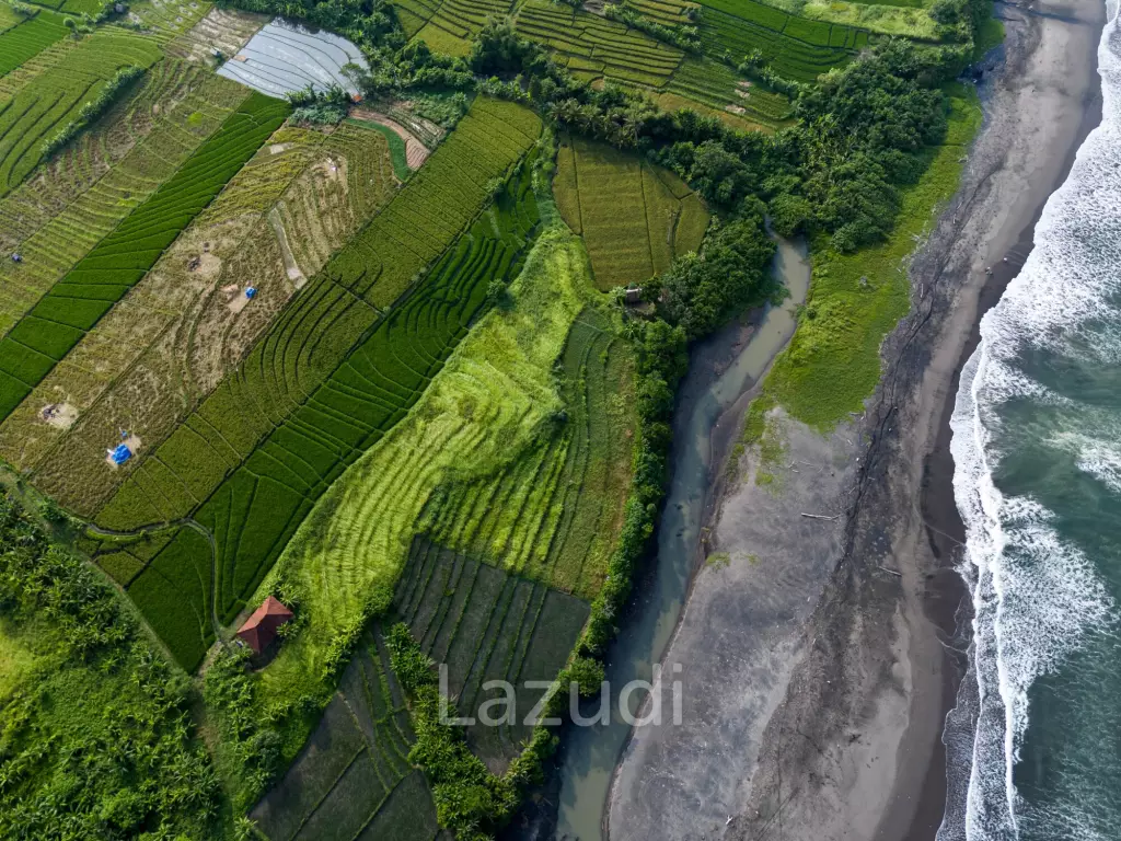 Beachfront Land in Gangga Tabanan