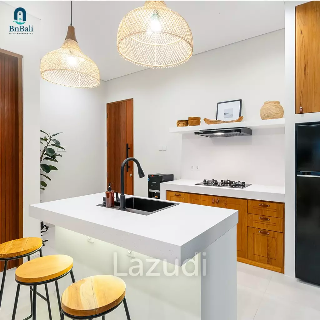 Modern 2 bedroom Villa in Babakan, Canggu