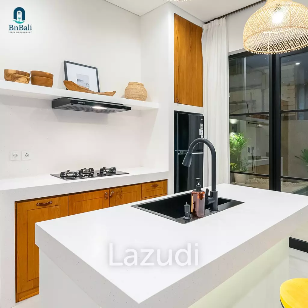Modern 2 bedroom Villa in Babakan, Canggu