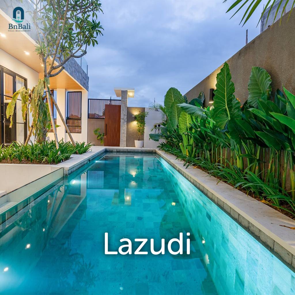 Modern 2 bedroom Villa in Babakan, Canggu