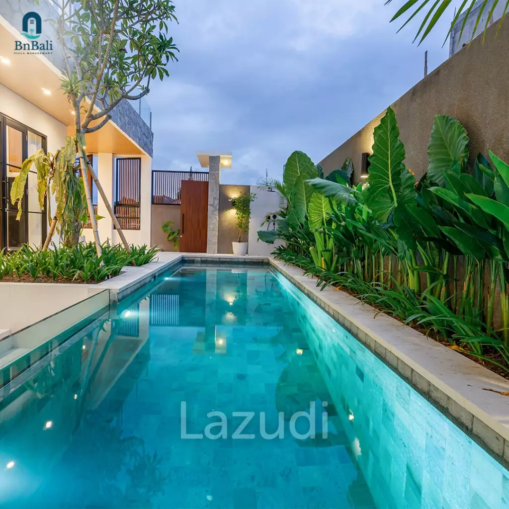 Modern 2 bedroom Villa in Babakan, Canggu