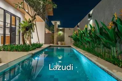 Modern 2 bedroom Villa in Babakan, Canggu