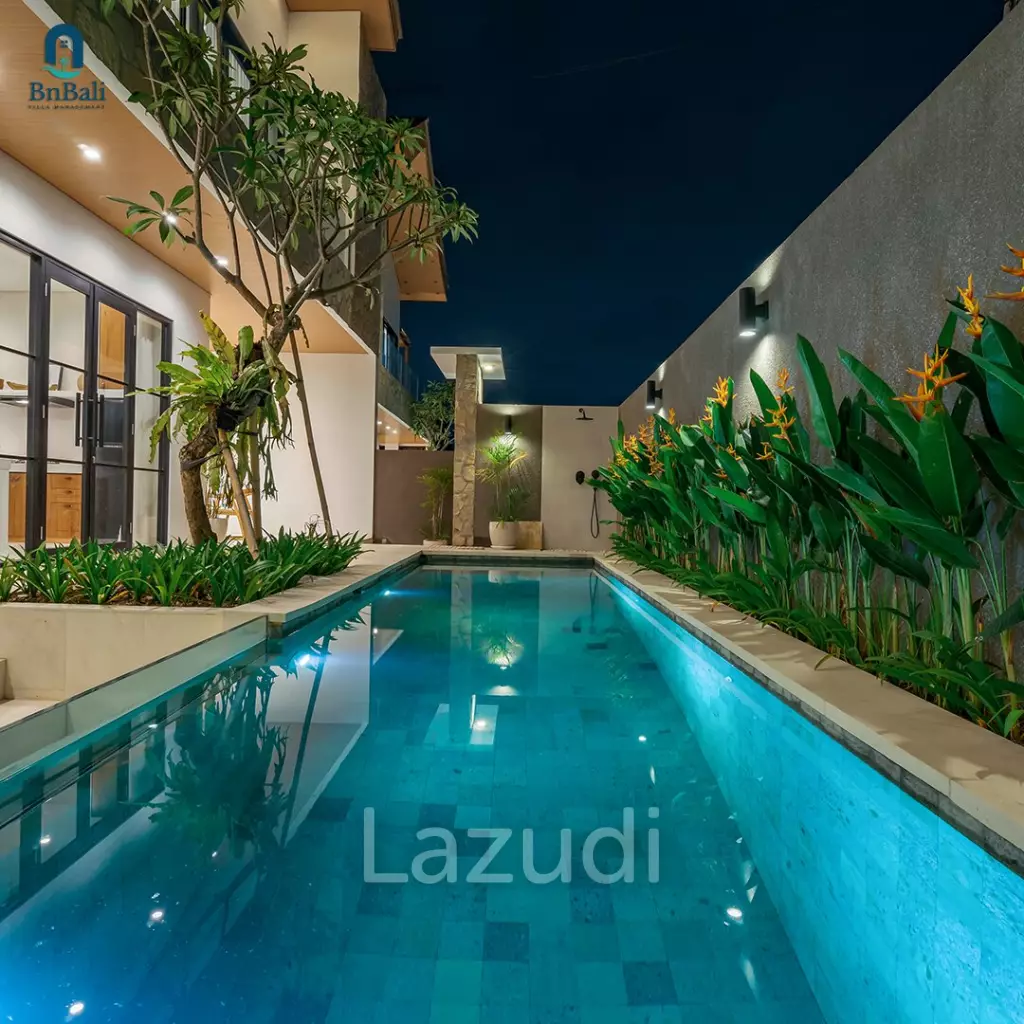Modern 2 bedroom Villa in Babakan, Canggu