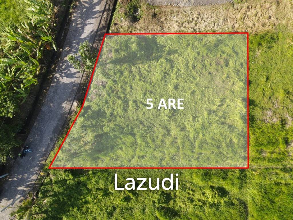 COMMERCIAL LAND OPPORTUNITY IN KEDUNGU, TABANAN