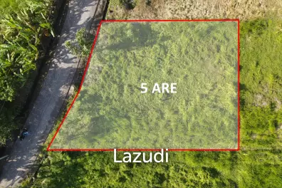 COMMERCIAL LAND OPPORTUNITY IN KEDUNGU, TABANAN