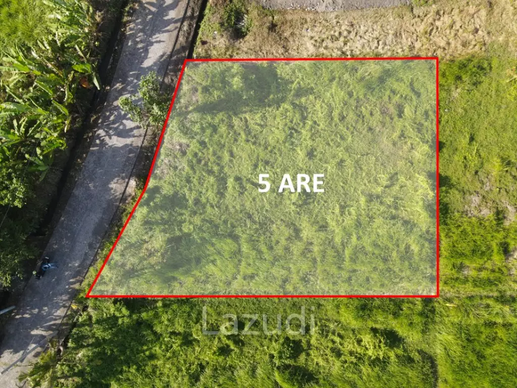 COMMERCIAL LAND OPPORTUNITY IN KEDUNGU, TABANAN