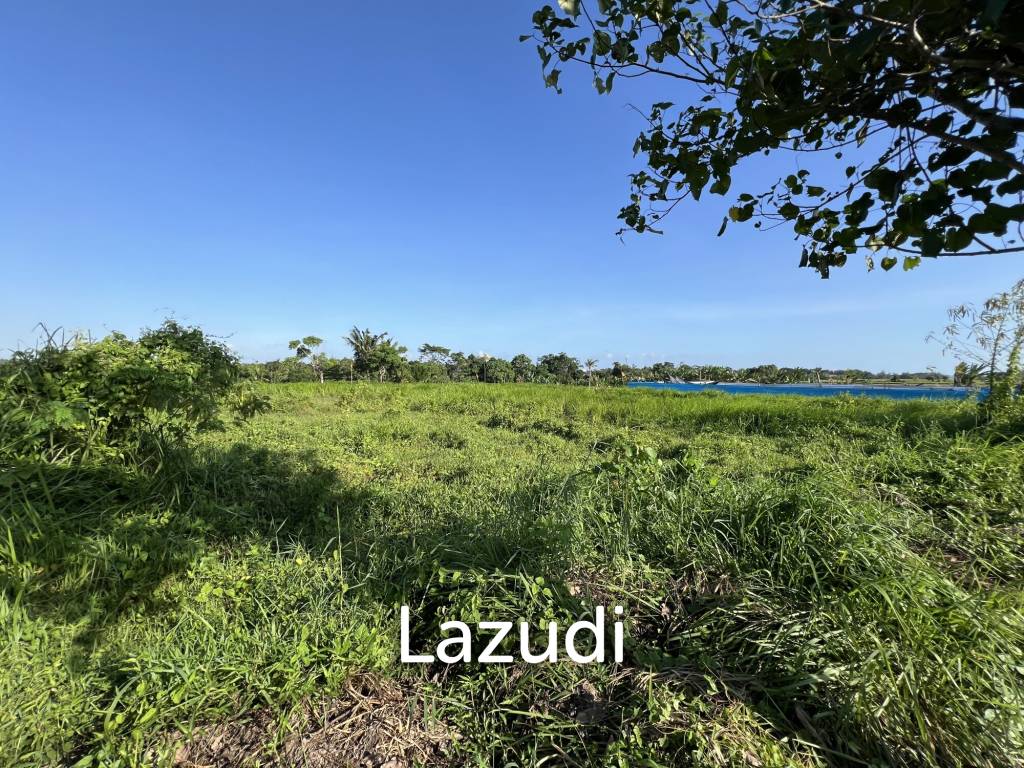 COMMERCIAL LAND OPPORTUNITY IN KEDUNGU, TABANAN