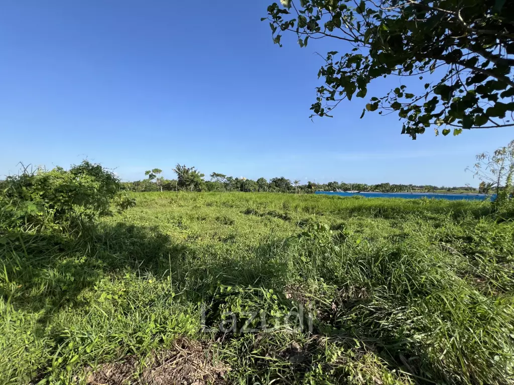 COMMERCIAL LAND OPPORTUNITY IN KEDUNGU, TABANAN