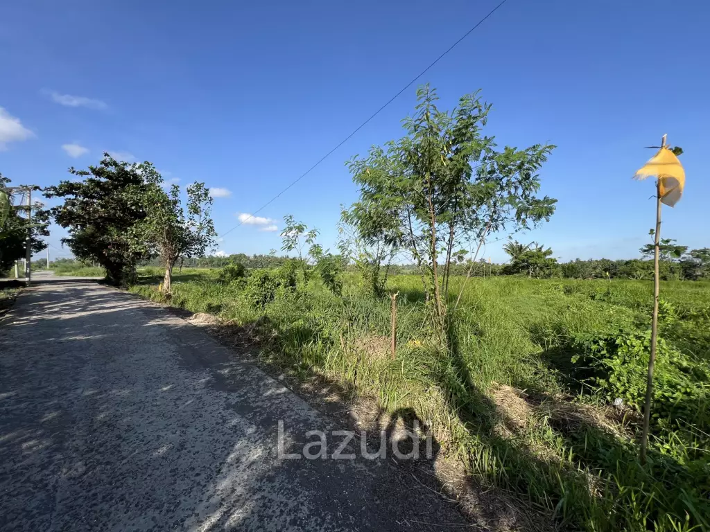 COMMERCIAL LAND OPPORTUNITY IN KEDUNGU, TABANAN