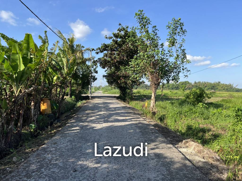 COMMERCIAL LAND OPPORTUNITY IN KEDUNGU, TABANAN