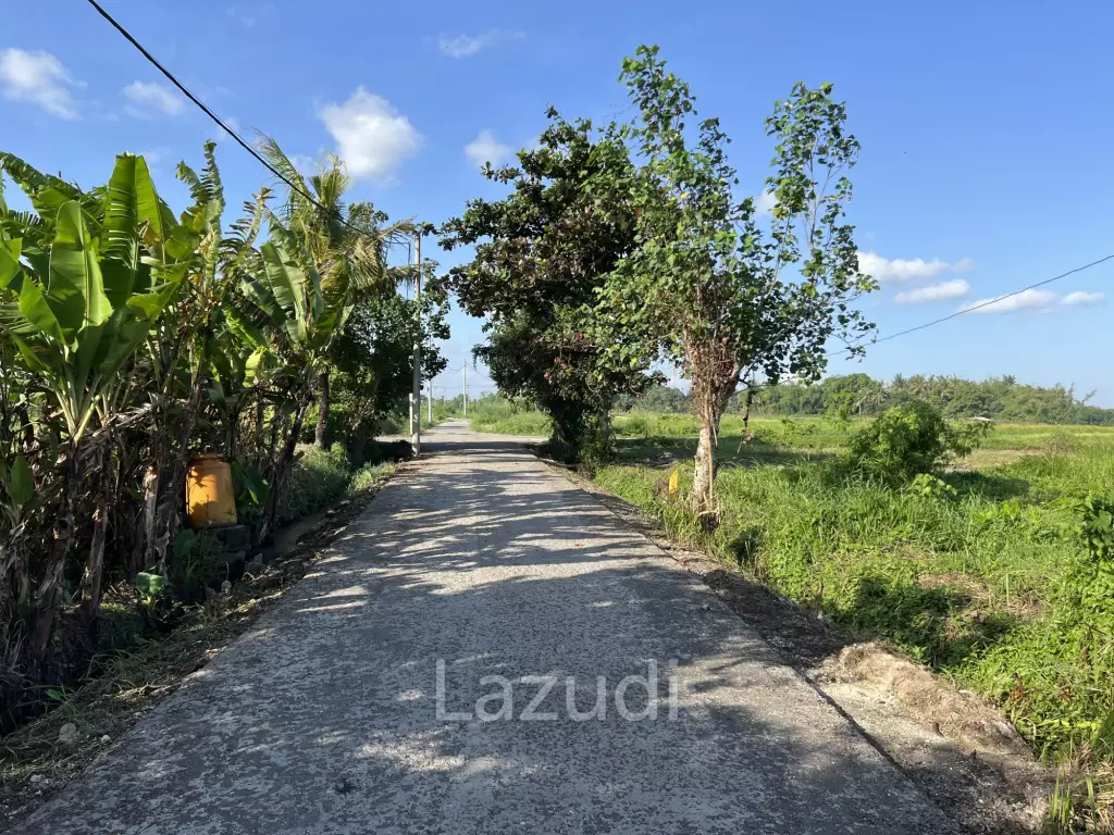 COMMERCIAL LAND OPPORTUNITY IN KEDUNGU, TABANAN