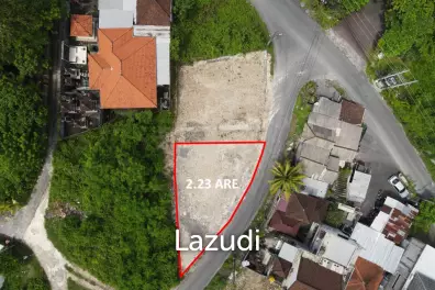 ELEVATED POTENTIAL: FREEHOLD LAND IN UNGASAN'S RESIDENTIAL ZONE
