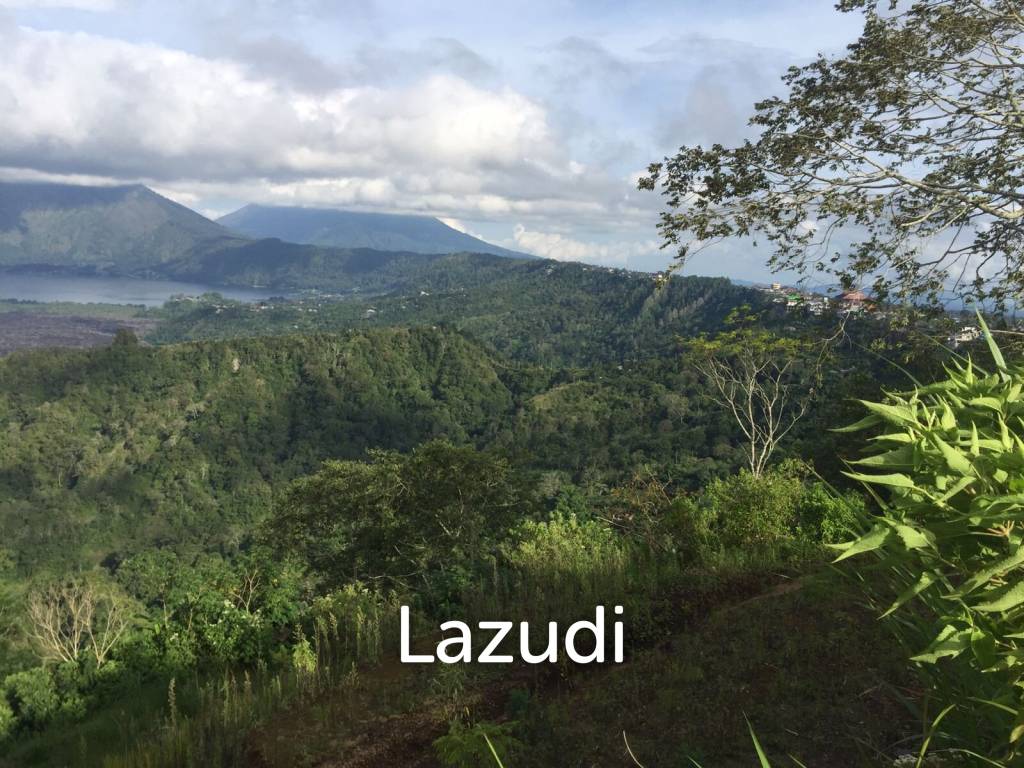 ELEVATED LAND WITH SPECTACULAR VOLCANO VIEW IN KINTAMANI