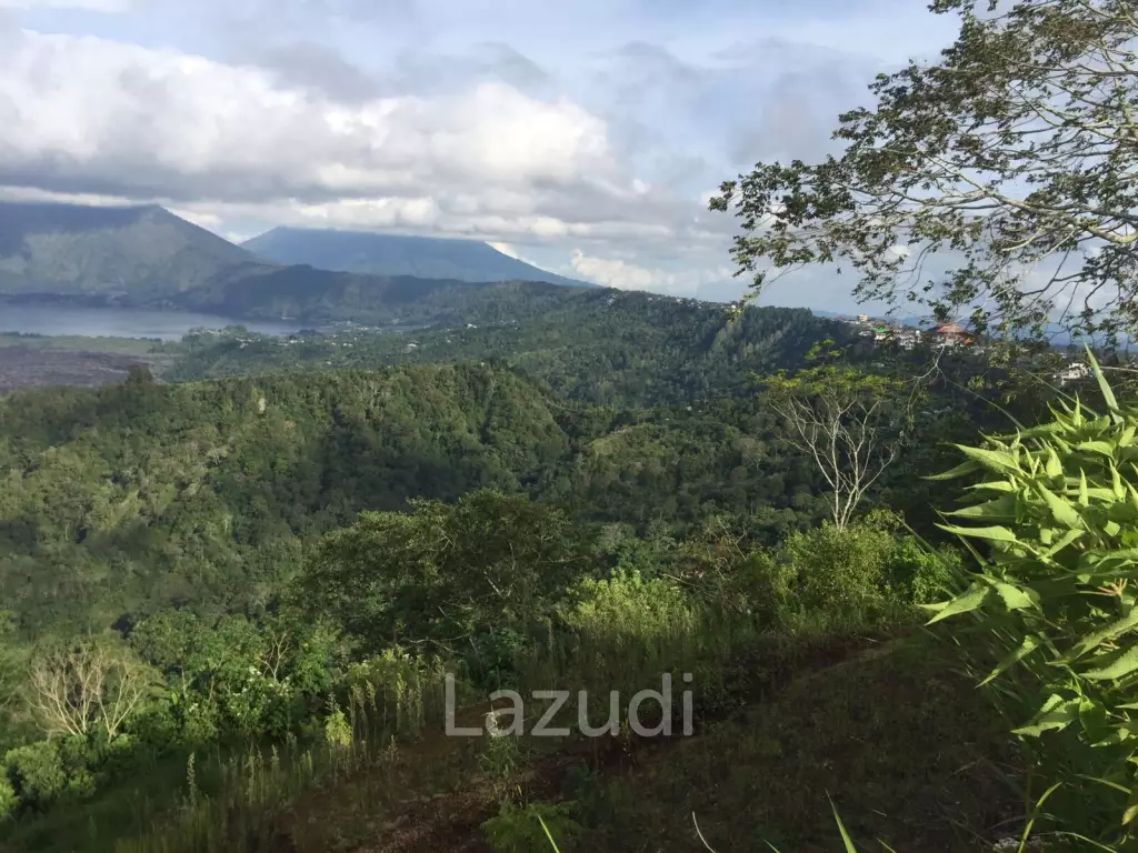 ELEVATED LAND WITH SPECTACULAR VOLCANO VIEW IN KINTAMANI