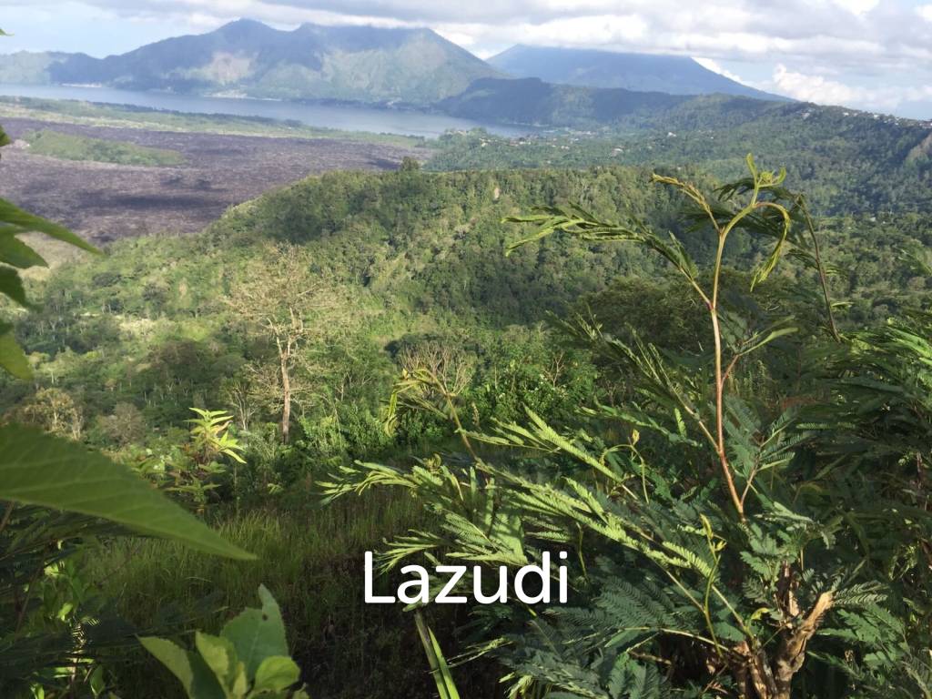 ELEVATED LAND WITH SPECTACULAR VOLCANO VIEW IN KINTAMANI