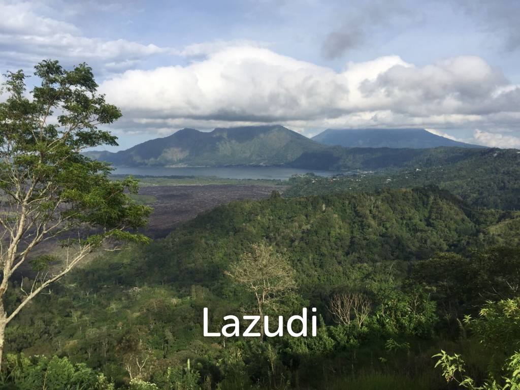SPECTACULAR PANORAMIC VIEW LAND IN KINTAMANI