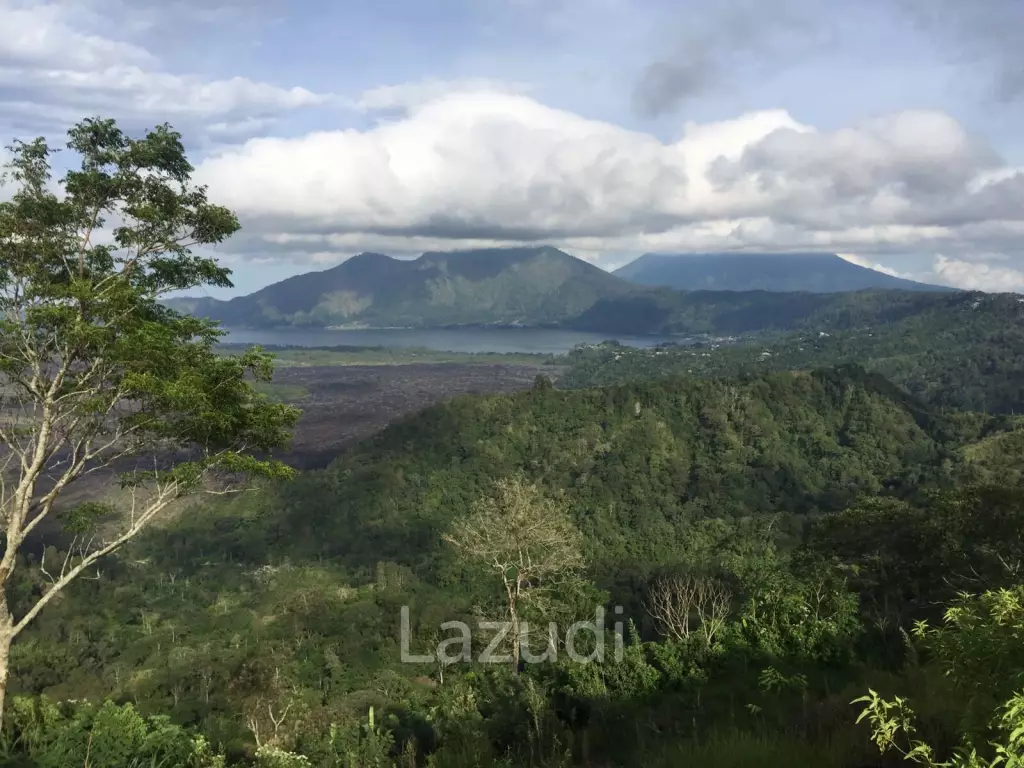 SPECTACULAR PANORAMIC VIEW LAND IN KINTAMANI
