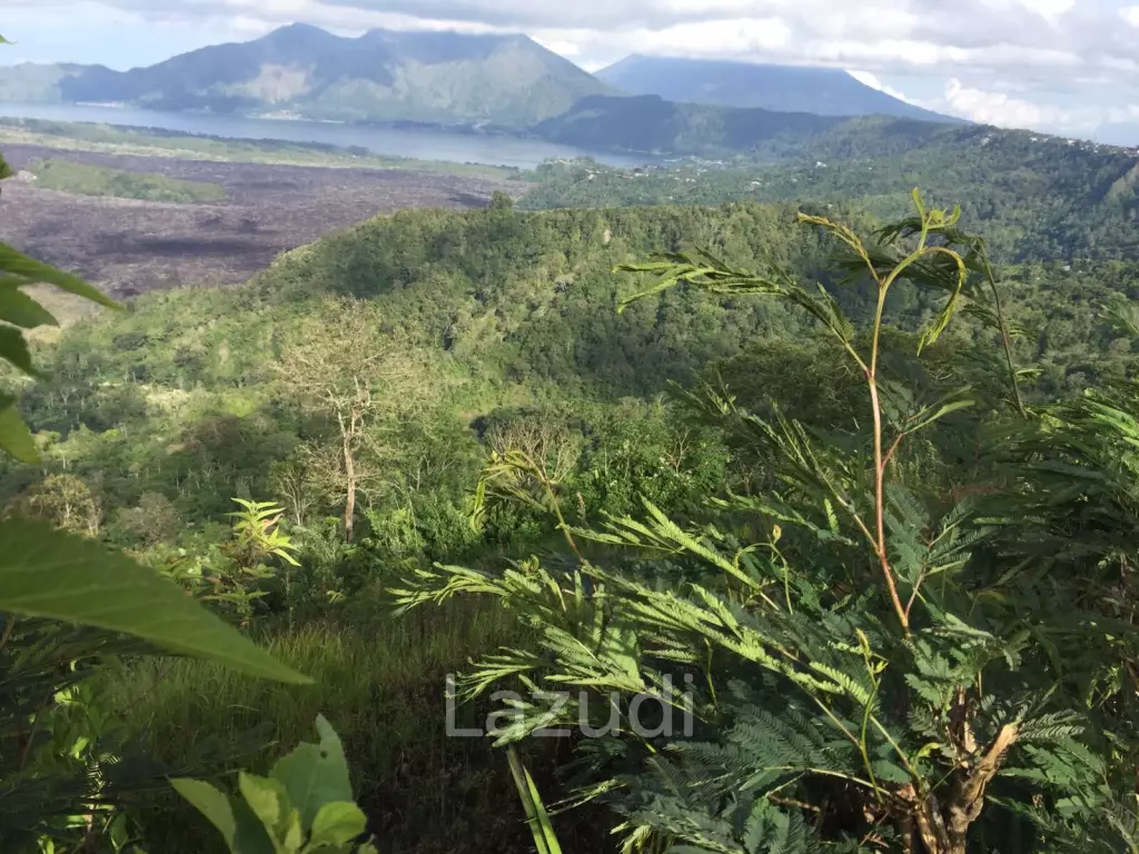 SPECTACULAR PANORAMIC VIEW LAND IN KINTAMANI