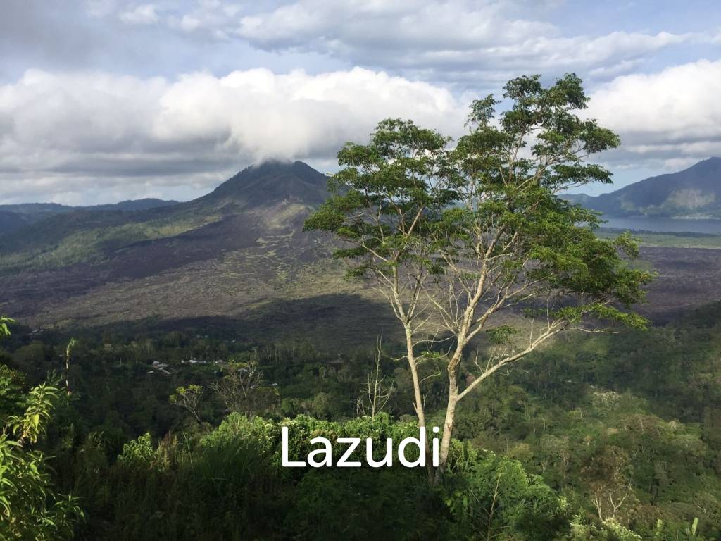SPECTACULAR PANORAMIC VIEW LAND IN KINTAMANI
