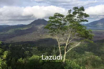 SPECTACULAR PANORAMIC VIEW LAND IN KINTAMANI