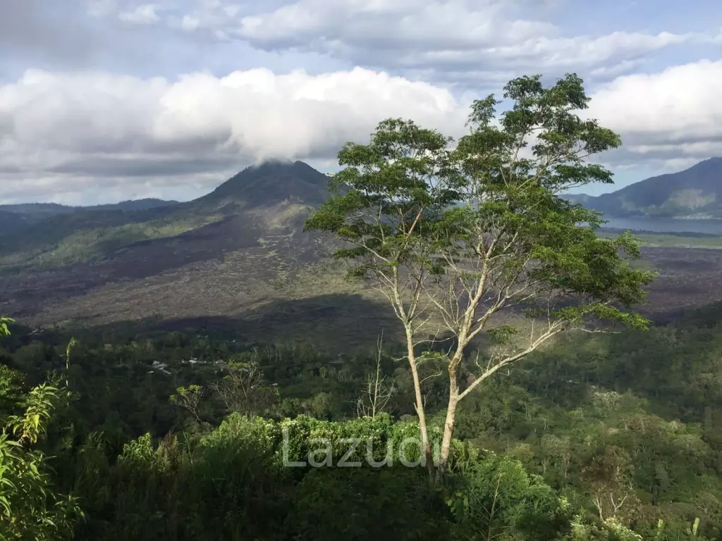SPECTACULAR PANORAMIC VIEW LAND IN KINTAMANI