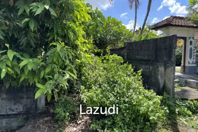 IDYLLIC JUNGLE AND RIVER VIEW LAND IN KEDIRI, TABANAN