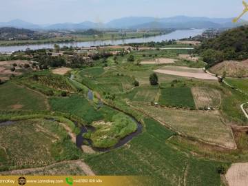 Cheap land for Sale 126 Rai in Chiang Saen