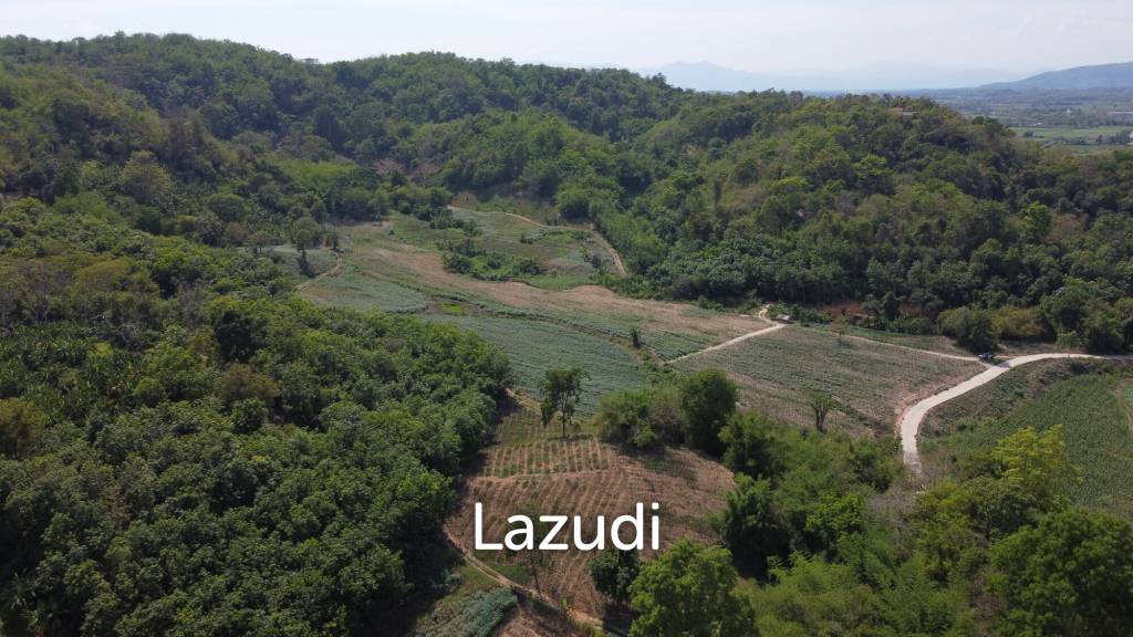 Urgent!!! Land for Sale 123 Rai in Chiang Saen
