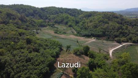 Urgent!!! Land for Sale 123 Rai in Chiang Saen