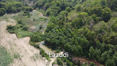 Urgent!!! Land for Sale 123 Rai in Chiang Saen