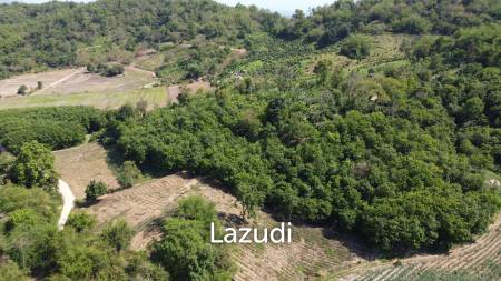 Urgent!!! Land for Sale 123 Rai in Chiang Saen