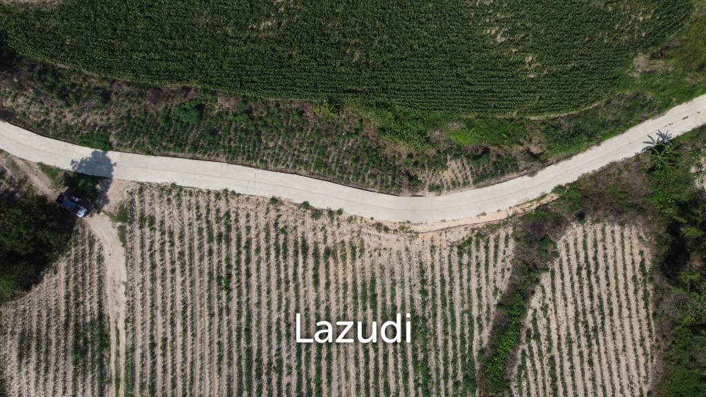 Urgent!!! Land for Sale 123 Rai in Chiang Saen