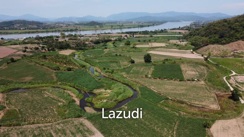 Urgent!!! Land for Sale 123 Rai in Chiang Saen