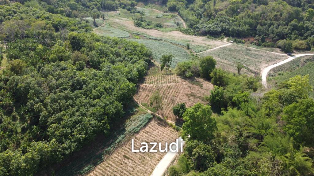 Urgent!!! Land for Sale 123 Rai in Chiang Saen