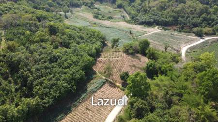 Urgent!!! Land for Sale 123 Rai in Chiang Saen