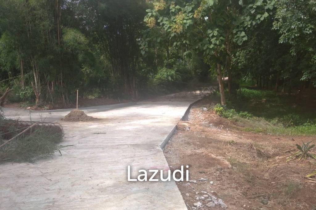 Land for Sale in Chiang Saen Mountain View