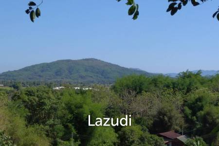 Land for Sale in Chiang Saen Mountain View