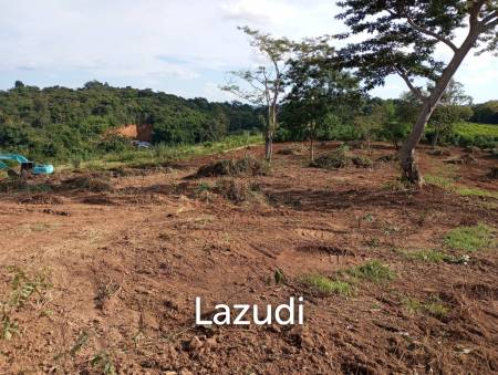 Land for Sale in Chiang Saen Mountain View