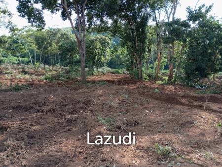 Land for Sale in Chiang Saen Mountain View