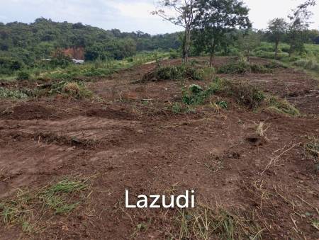 Land for Sale in Chiang Saen Mountain View