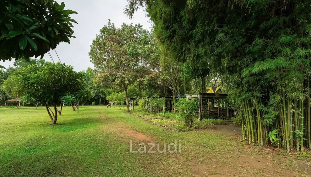 6-Bedroom With 2 Houses For Sale in Mae Sao, Chiang Mai